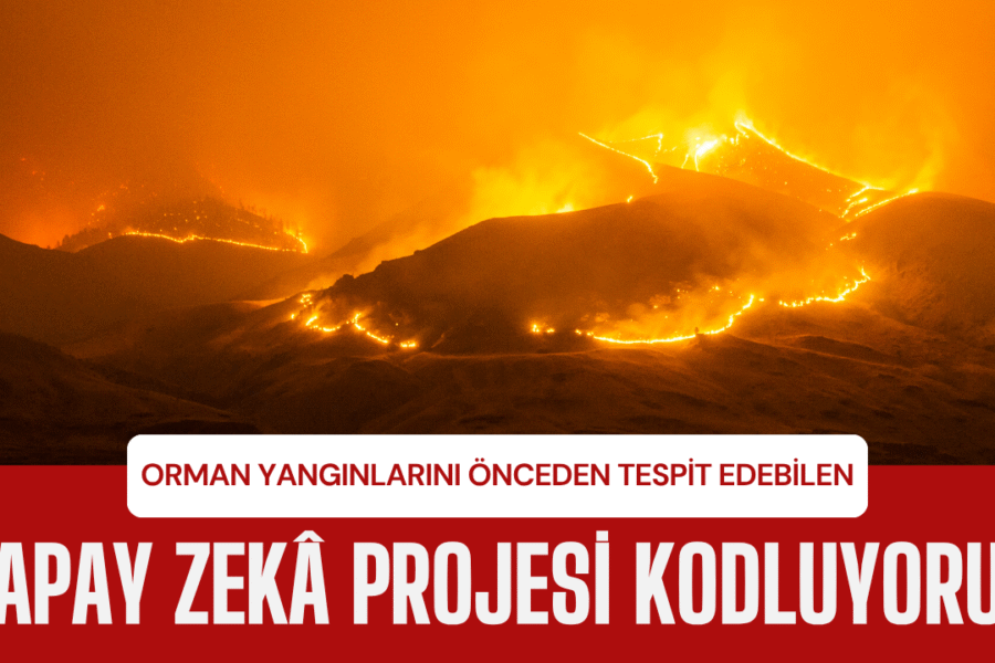 Forest Fire Early Detection Project – Flame Radar (Python)