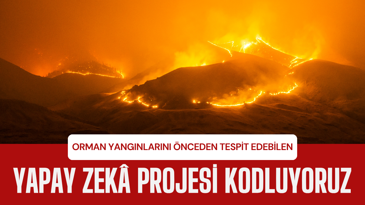 Forest Fire Early Detection Project – Flame Radar (Python)